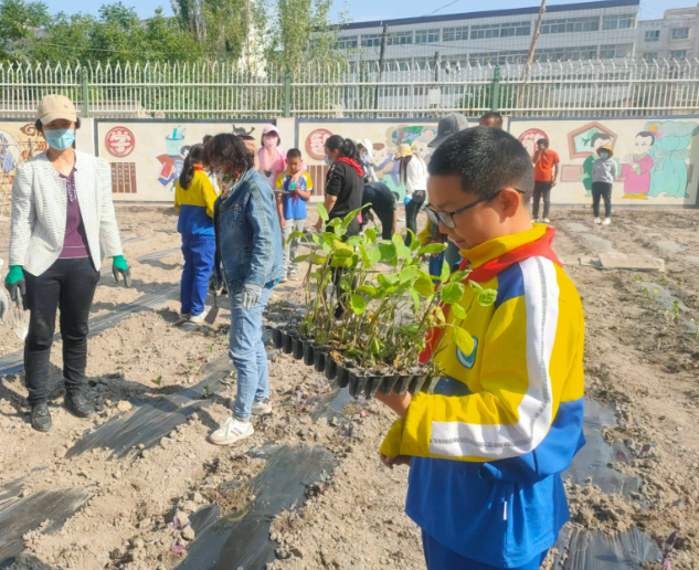 教育资源不仅缩短了孩子们的上学路更拓宽了成长路